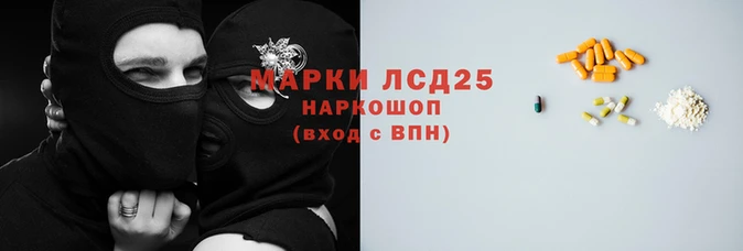 индика Алзамай