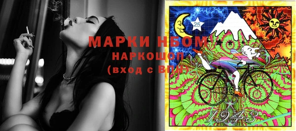 индика Алзамай