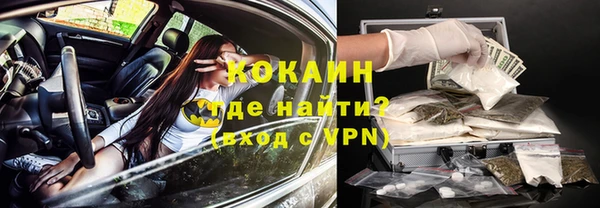 индика Алзамай