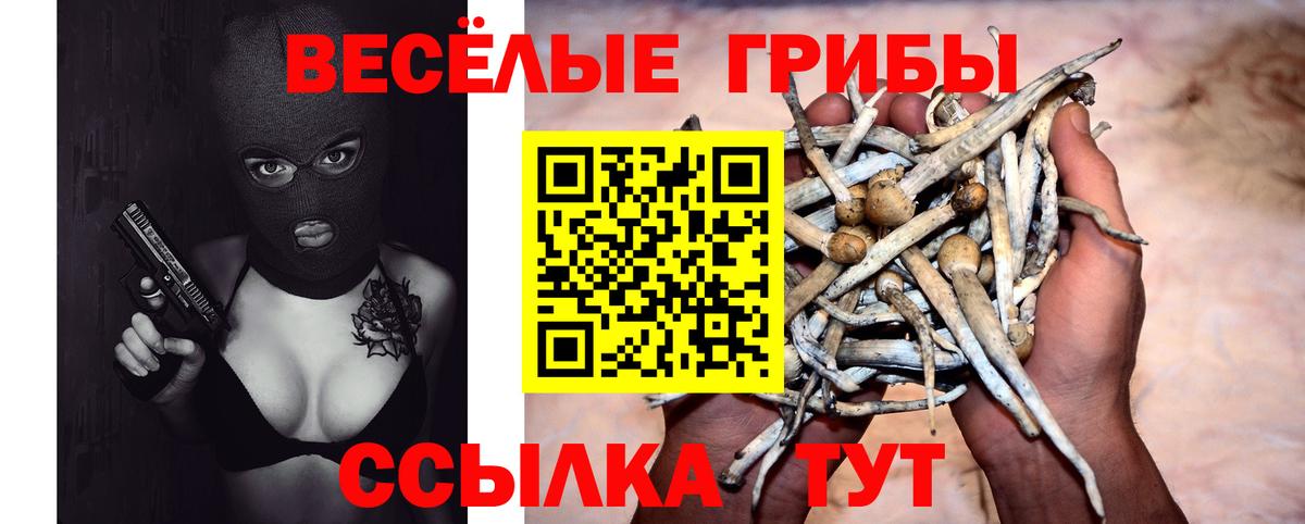 Североуральск  Галлюциногенные грибы мухоморы  Вход с VPN 